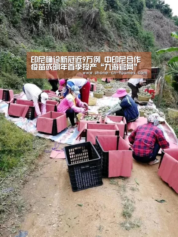 印尼确诊新冠近9万例 中印尼合作疫苗或明年首季投产“九游官网”(图4) 九游APP下载