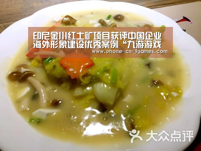 印尼金川红土矿项目获评中国企业海外形象建设优秀案例“九游游戏中心”(图1) 九游官网