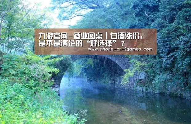 九游官网-酒业圆桌|白酒涨价,是不是酒企的“好选择”?(图1) 九游游戏中心
