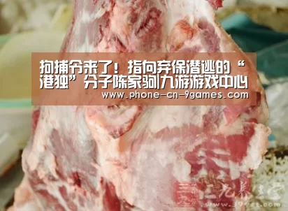 拘捕令来了!指向弃保潜逃的“港独”分子陈家驹|九游游戏中心(图4) 九游游戏中心