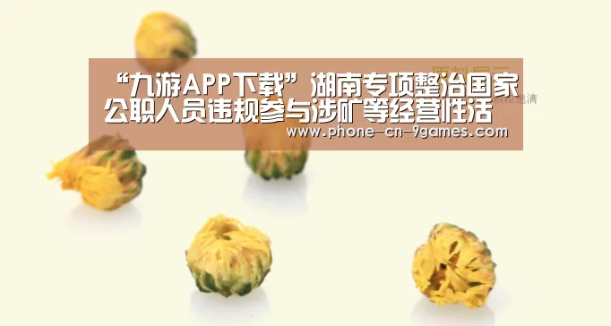 “九游APP下载”湖南专项整治国家公职人员违规参与涉矿等经营性活动(图3) 九游游戏
