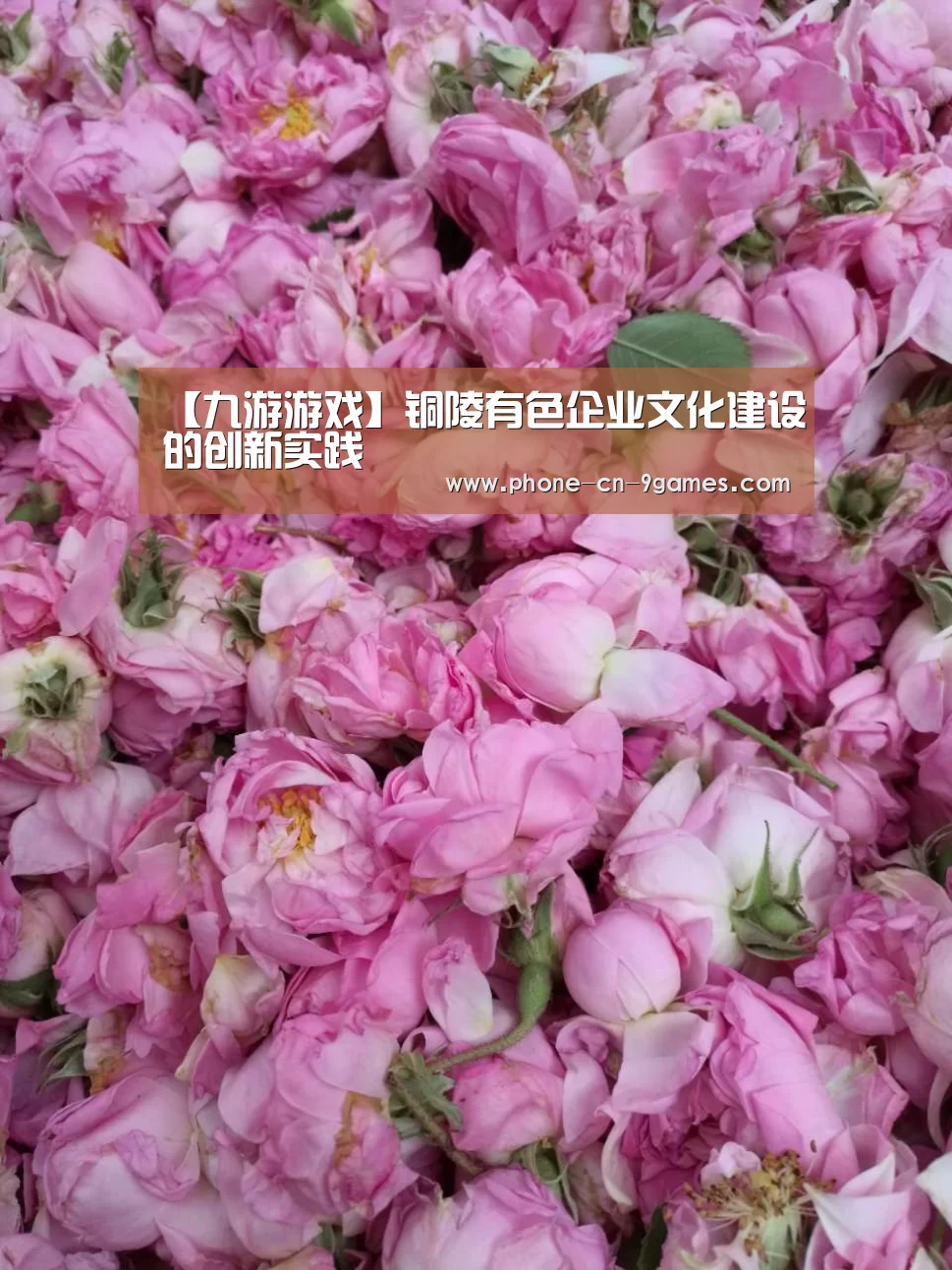 【九游游戏】铜陵有色企业文化建设的创新实践(图2) 九游游戏中心