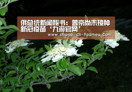 俄总统新闻秘书:普京尚未接种新冠疫苗‘九游官网’(图2) 九游APP下载